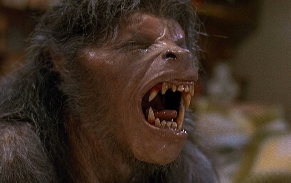 american-werewolf-in-london-an-1981-004-wolf-groan