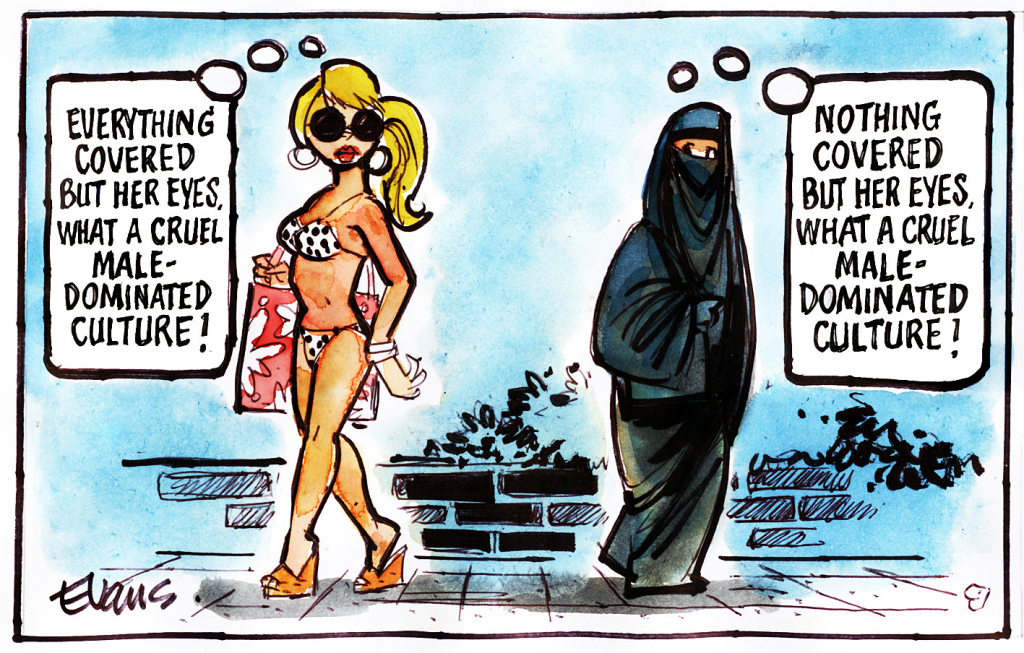 feminism cartoon