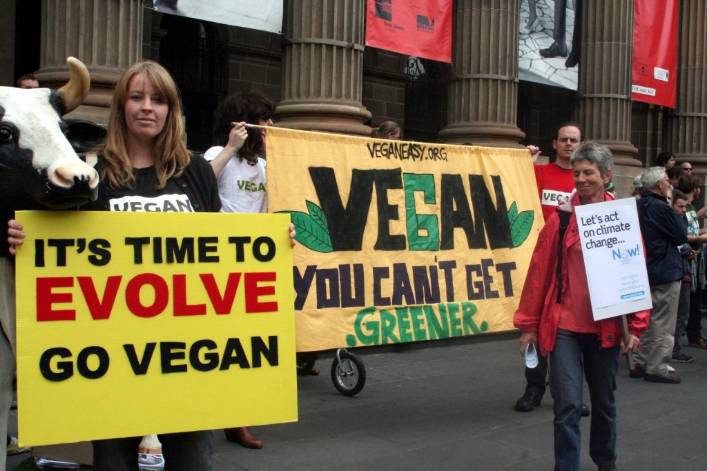 Vegan Evolve