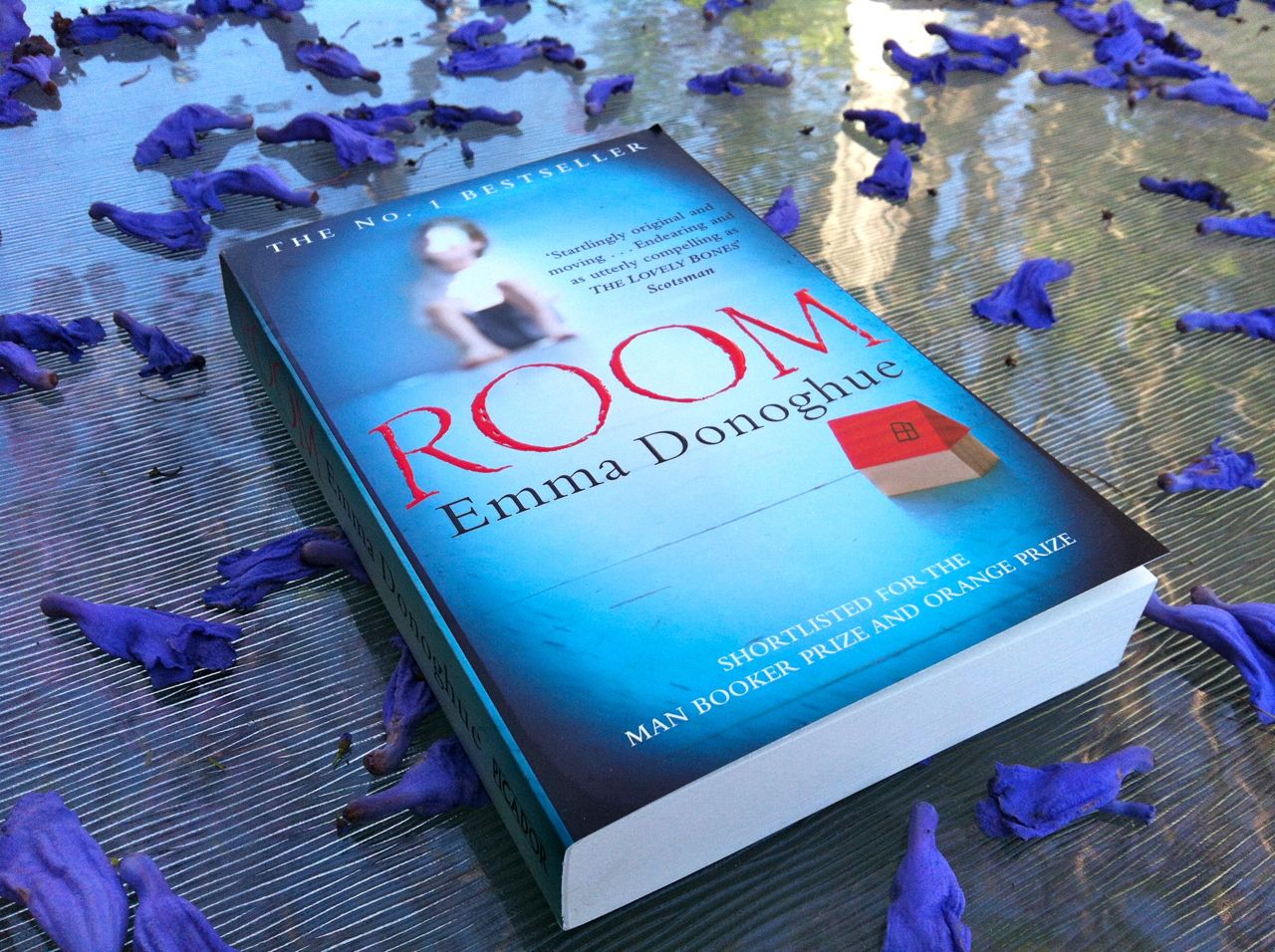 Room by Emma Donoghue and the trauma culture