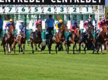 Betting the 2016 AAMI Victoria Derby - Betting and Odds