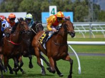 The W.S. Cox Plate Odds - Can They Beat Winx?