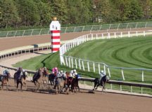 Form Guide Melbourne Cup - The Race That Stops a Nation