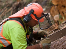 Need A Change In Direction? An Outdoor Career Could Be Perfect!