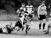 5 Reasons to Get Back into Team Sports