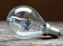 Reduce Your Business's Impact on the Environment Today