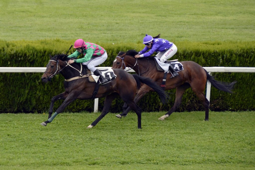 MoonProject Queen Elizabeth Stakes (VRC) Fields, Horse, Winner & Tips